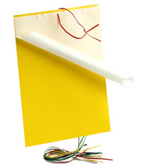 yellow glue trap